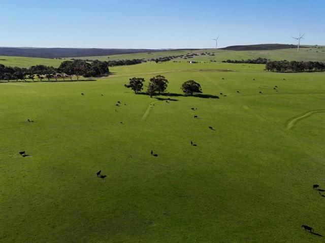 Property for sale in Badgingarra, Western Australia