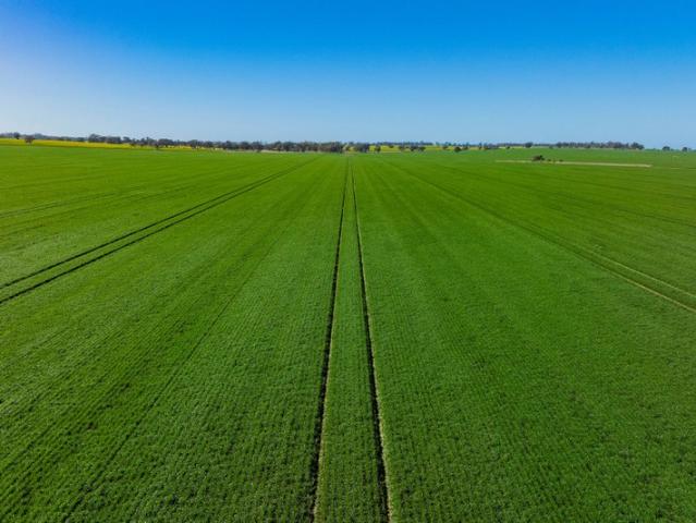 Property for sale in Barmedman, New South Wales