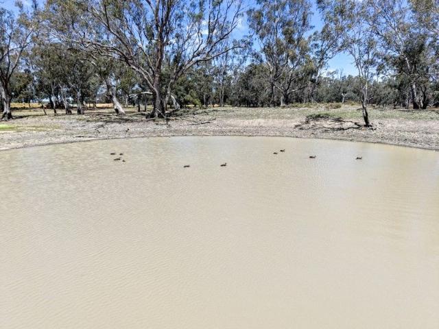 Cottage for sale in Bedgerabong, New South Wales