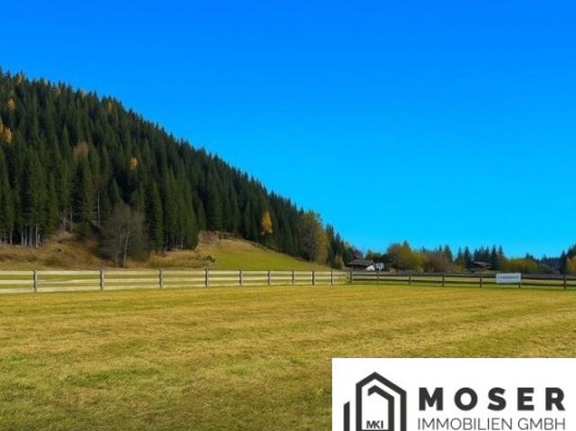 Haus kaufen in Laßnitz bei Murau, Steiermark