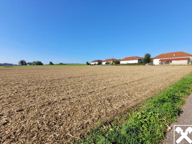 Grundstück kaufen in St. Florian, Bezirk Linz-Land
