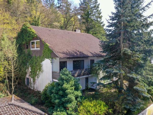 Haus kaufen in Lautenthal, Langelsheim