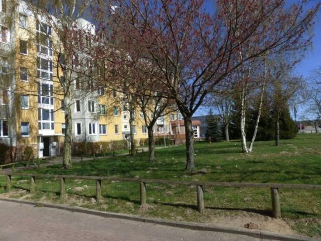 Apartment mieten in Wohnpark am Krebsbach, Schwerin