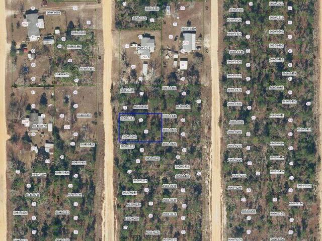 Land for sale in Interlachen, Florida