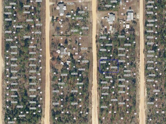Land for sale in Interlachen, Florida