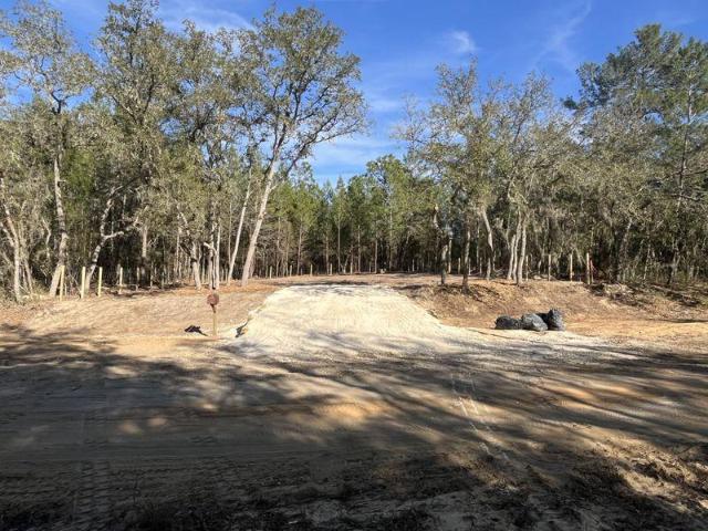 Land for sale in Interlachen, Florida