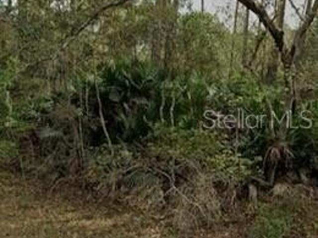 Land for sale in Interlachen, Putnam County