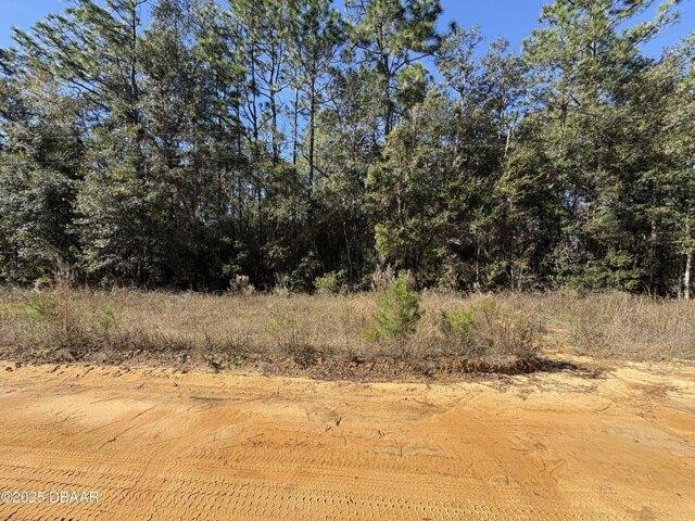 Land for sale in Interlachen, Florida