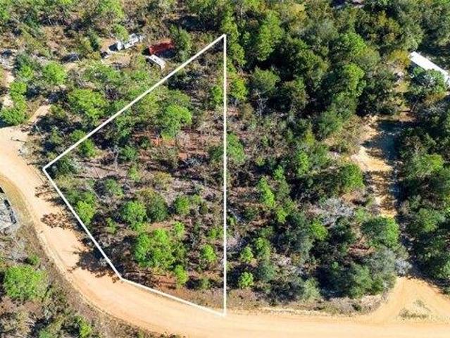 Land for sale in Interlachen, Florida