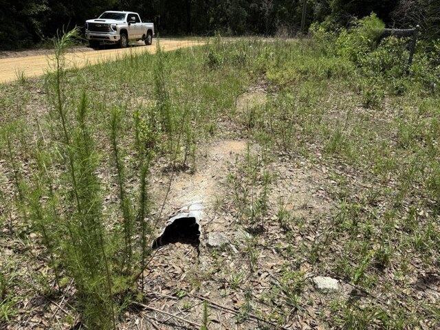 Land for sale in Interlachen, Florida