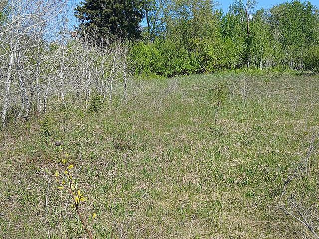 Land for sale in Manitoba