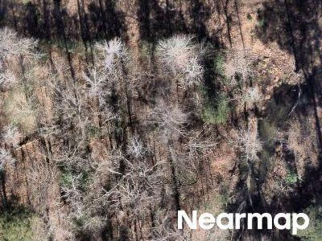 Land for sale in Smith, Texas