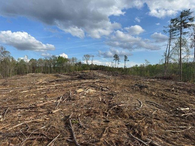 Land for sale in Winona, Mississippi