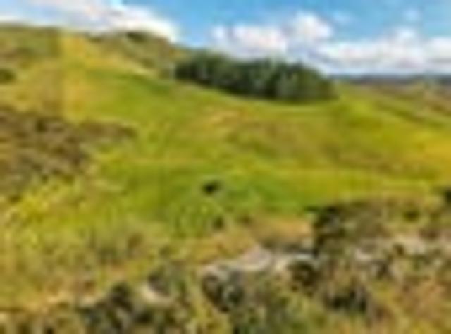 Land for sale in Back River, Te Hiku Community