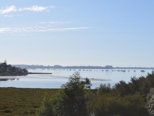 Land for sale in Whakamarama, Bay Of Plenty