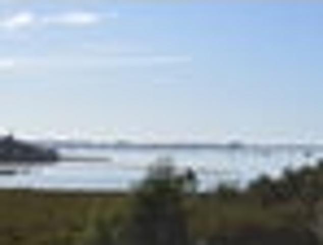 Land for sale in Whakamarama, Bay Of Plenty