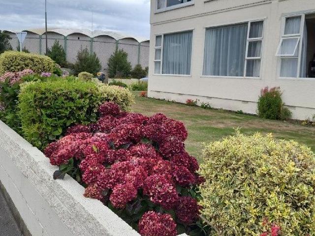 Apartment for rent in Avenal, Invercargill City