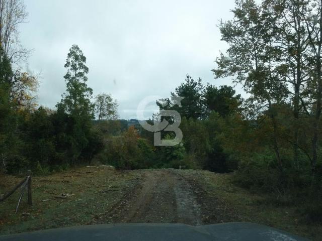 Casa en venta en San Juan De La Costa, Los Lagos
