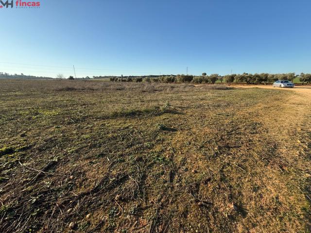 Terreno en venta en Carmona, Andalucía