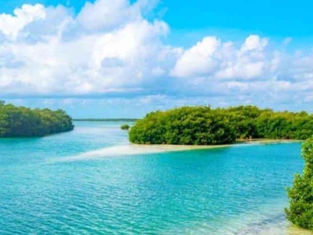 Terreno en venta en Felipe Carrillo Puerto, Quintana Roo