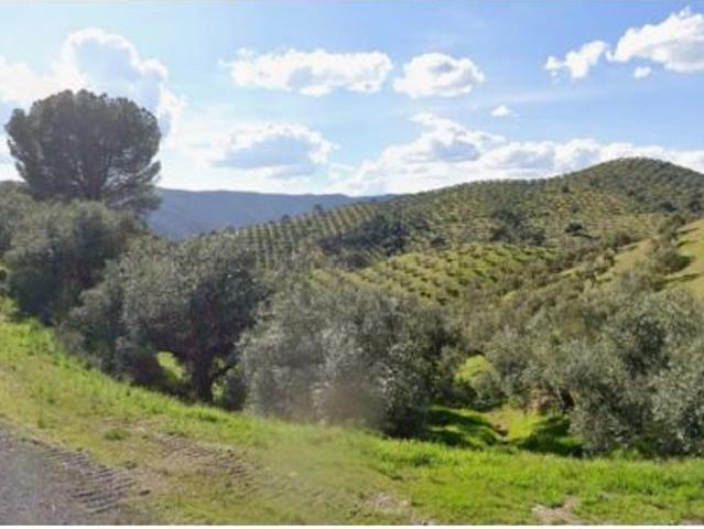 Local Comercial en venta en Obejo, Andalucía
