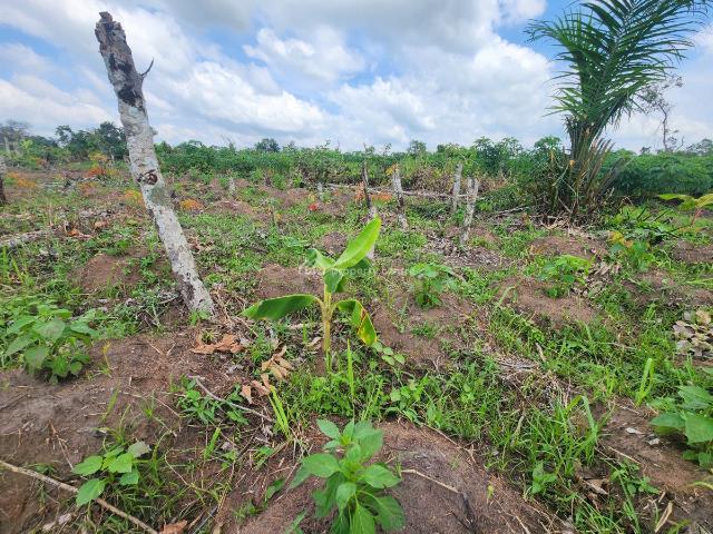 Land for sale in Odeda, Ogun