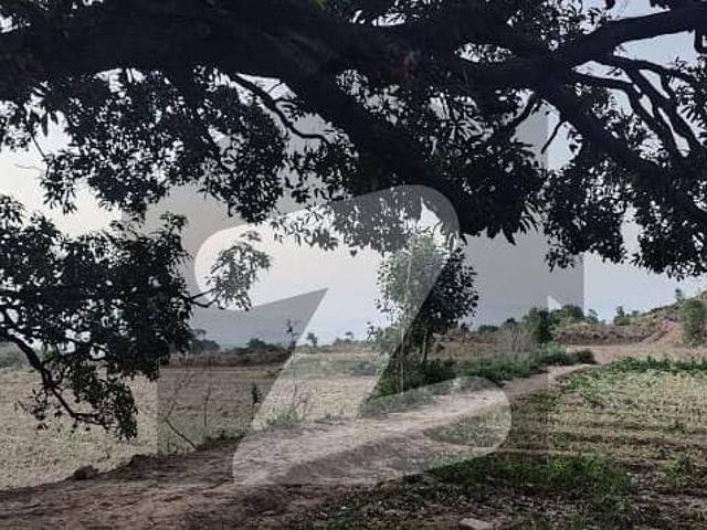 Land for sale in Rawalpindi, Islamabad Capital Territory