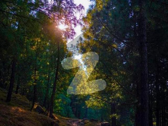 House for sale in Murree, Islamabad Capital Territory