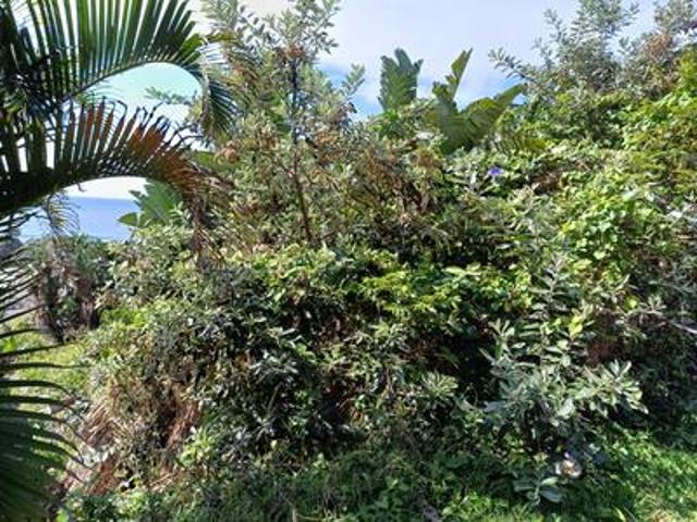 Land for sale in Ugu District Municipality, Kwazulu-natal