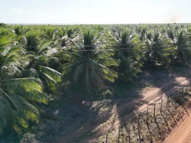 Fazenda venda em Região Geográfica Imediata de Natal, Pureza