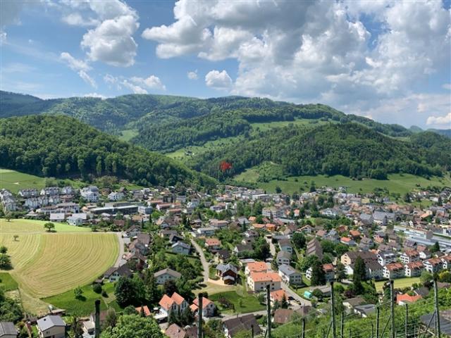 Einfamilienhaus kaufen in Oberdorf (BL), Basel-Landschaft