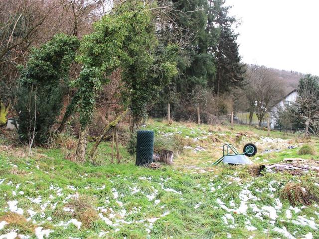 Erdgeschosswohnung kaufen in Eberbach