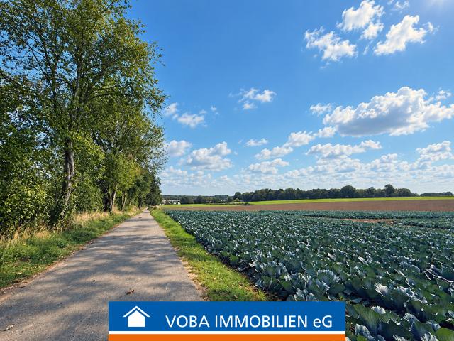 Landwirtschaft kaufen in Saelhuysen, Rheurdt