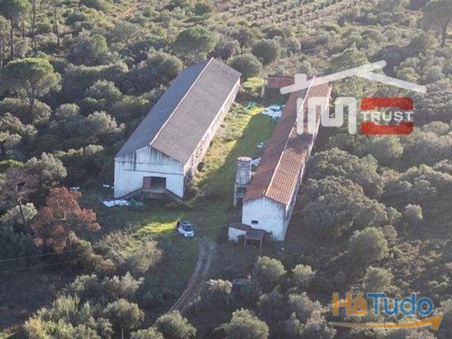 Armazém venda em Torres Novas, Santarém