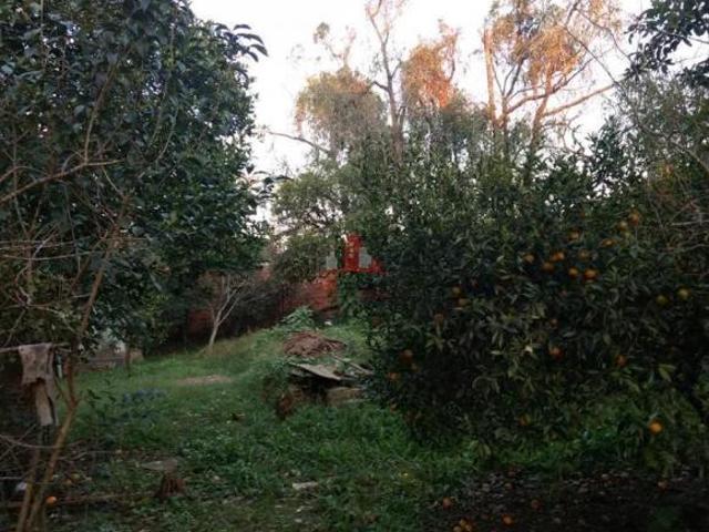 Terreno venda em Região Geográfica Imediata de Porto Alegre, Região Metropolitana de Porto Alegre
