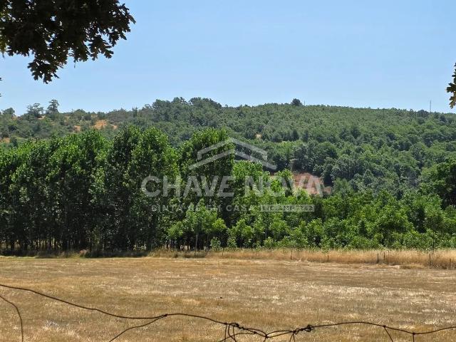 Terreno venda em Edroso, Bragança