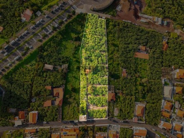 Terreno venda em Funchal, Ilha Da Madeira