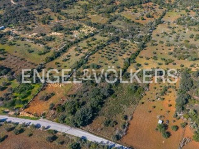 Terreno venda em Alportel, São Brás De Alportel