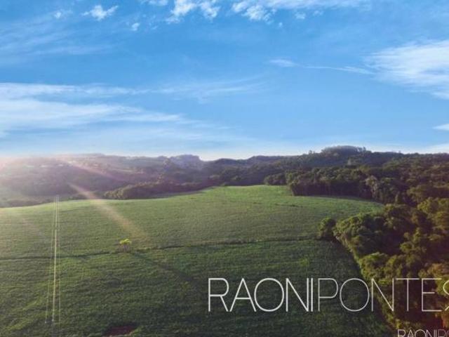 Sítio e chácara venda em Região Geográfica Imediata de Marau, Marau