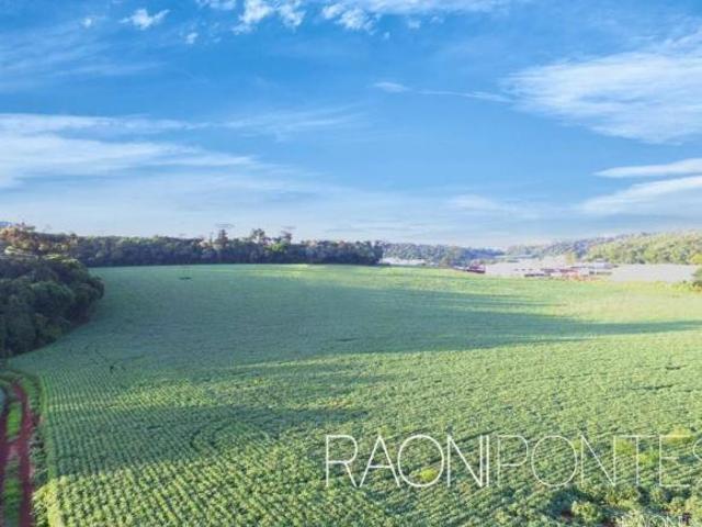 Sítio e chácara venda em Região Geográfica Imediata de Marau, Marau