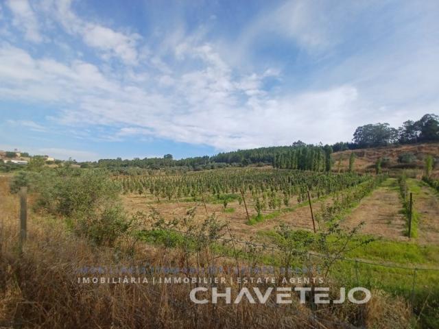 Quinta venda em Tomar, Santarém