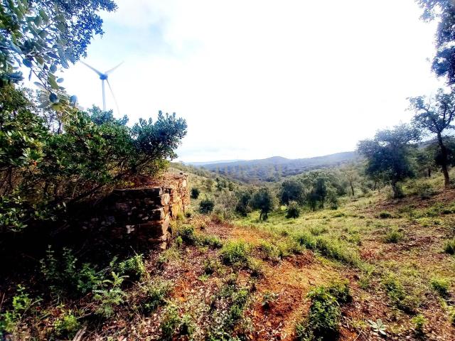 Terreno venda em Almodôvar, Beja