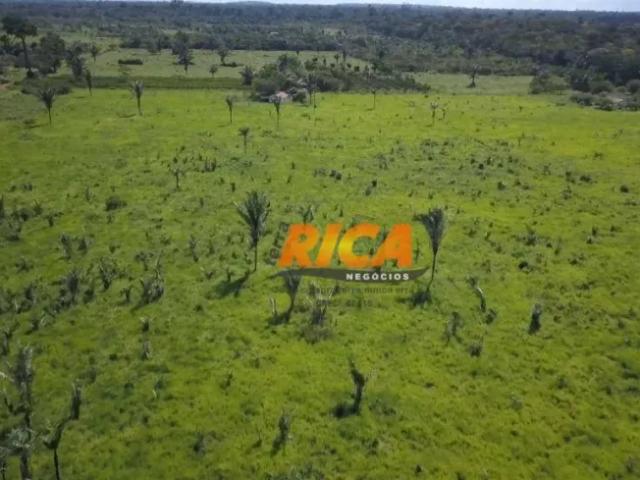 Fazenda venda em Região Geográfica Imediata de Porto Velho, Porto Velho