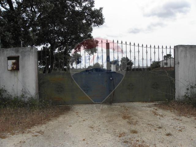 Casa venda em Casais Romeiros, Alcanena