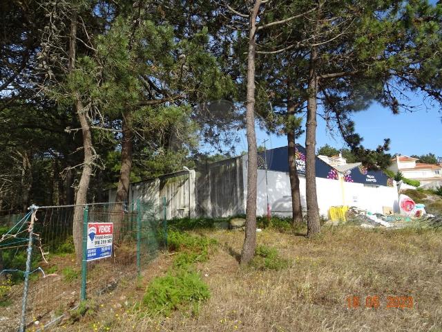 Armazém venda em Pederneira, Leiria