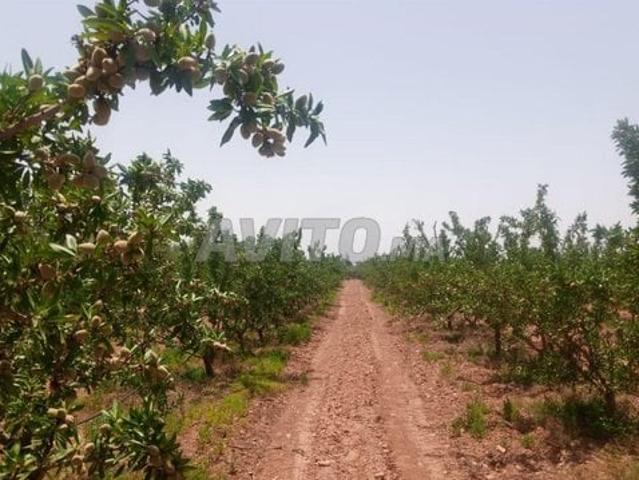 Propriété vente à Ben Slimane