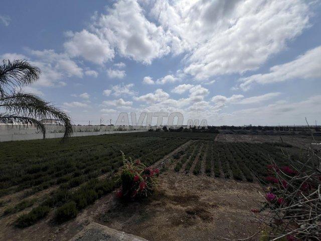 Propriété vente à Gharb-Chrarda-Beni Hssen