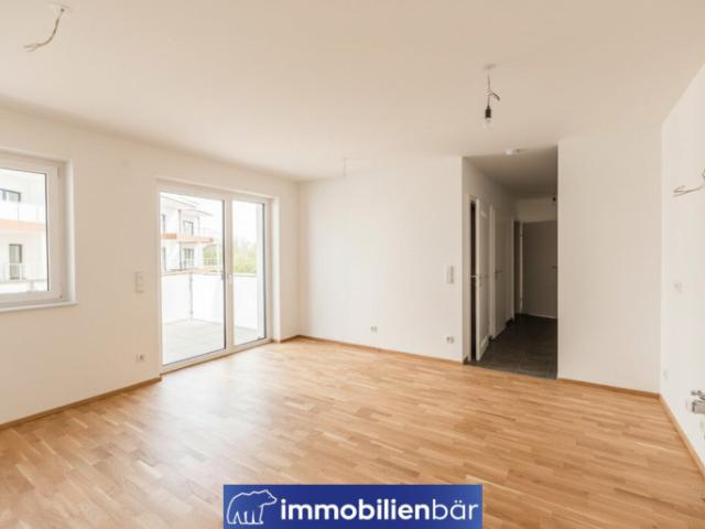 Wohnung kaufen in Seebach, Pupping