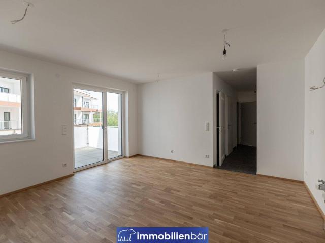 Apartment kaufen in Seebach, Hinzenbach