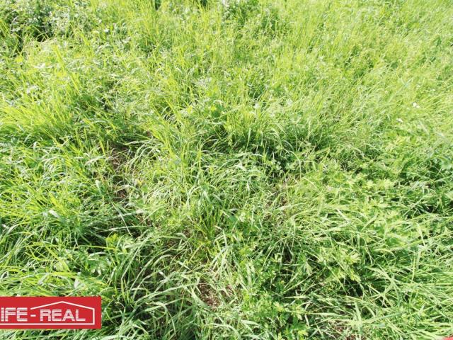 Immobilie kaufen in Oberösterreich